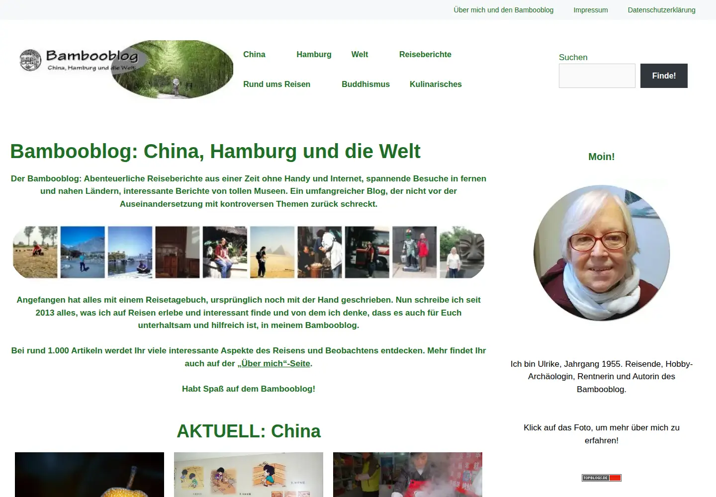 Screenshot of bambooblog.de