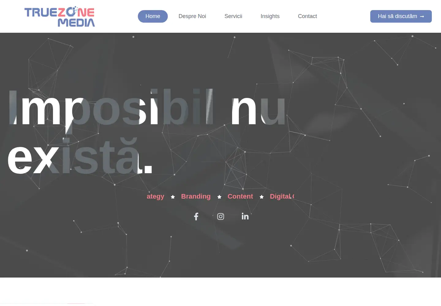 Captured homepage of truezone.ro in the current scan