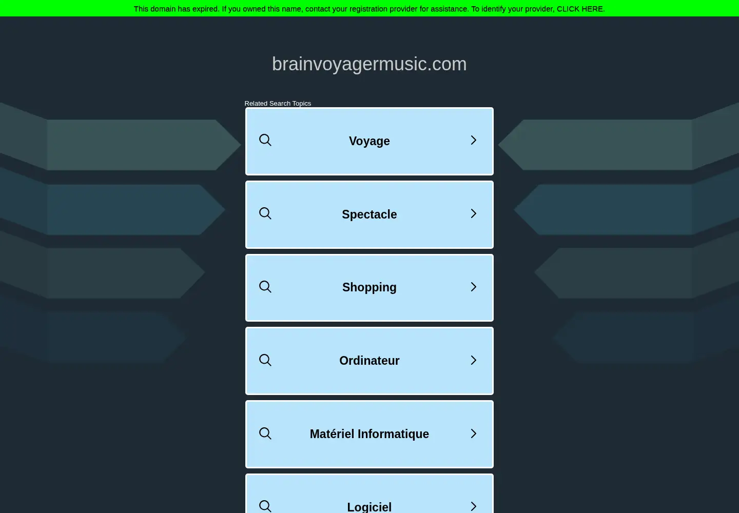 Captured homepage of brainvoyagermusic.com in the current scan