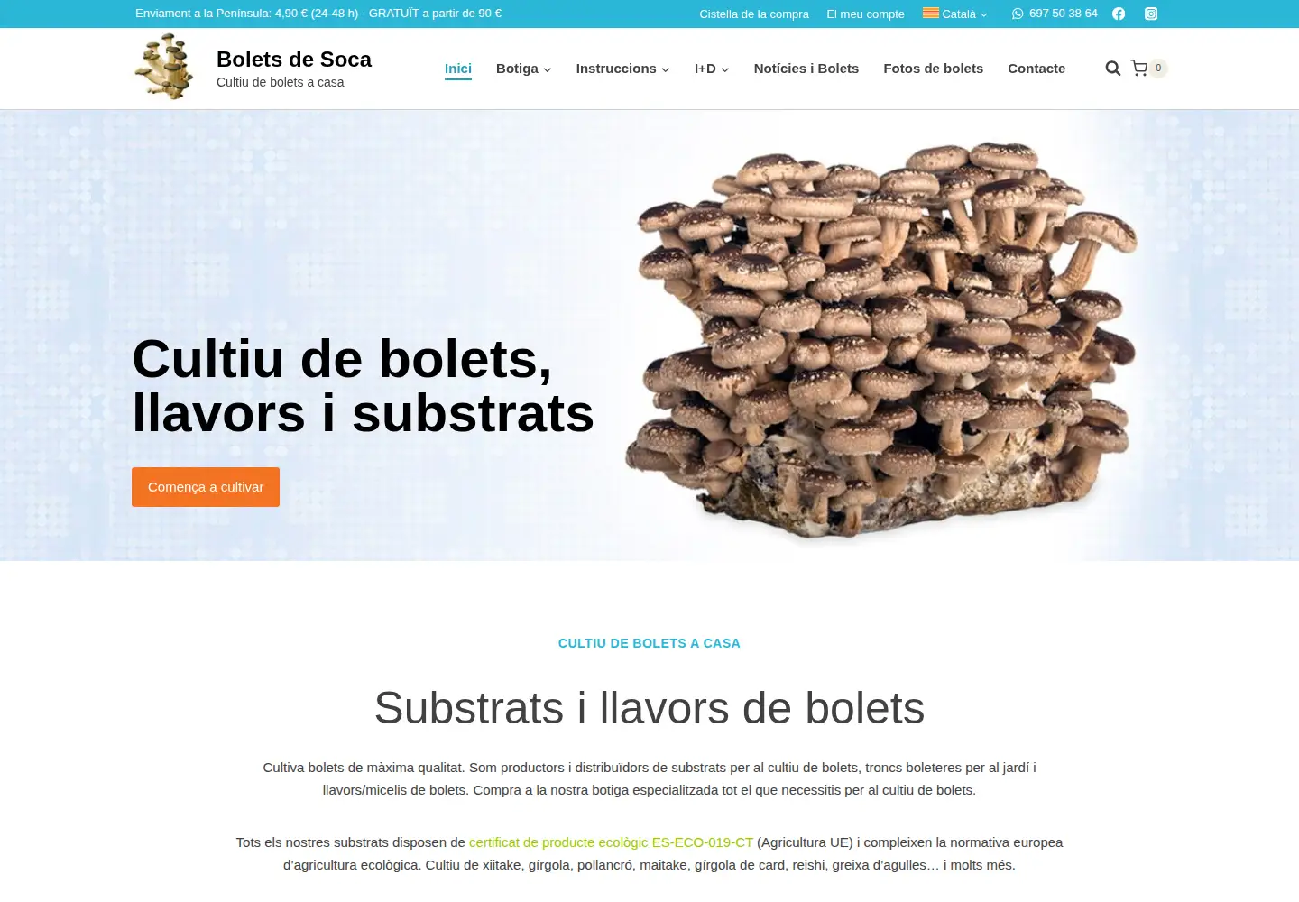 Captured homepage of boletsdesoca.com in the current scan
