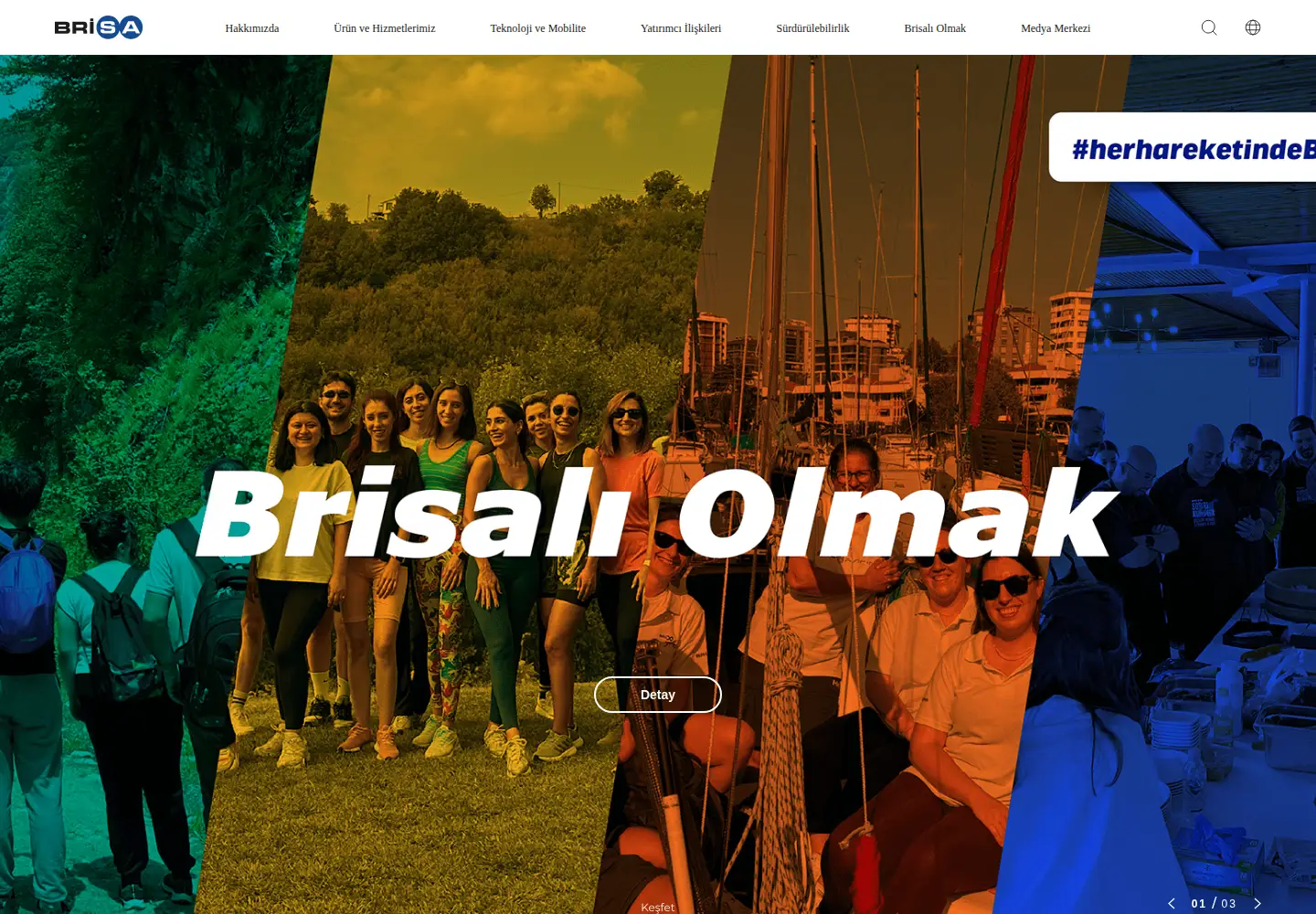 Screenshot of brisa.com.tr