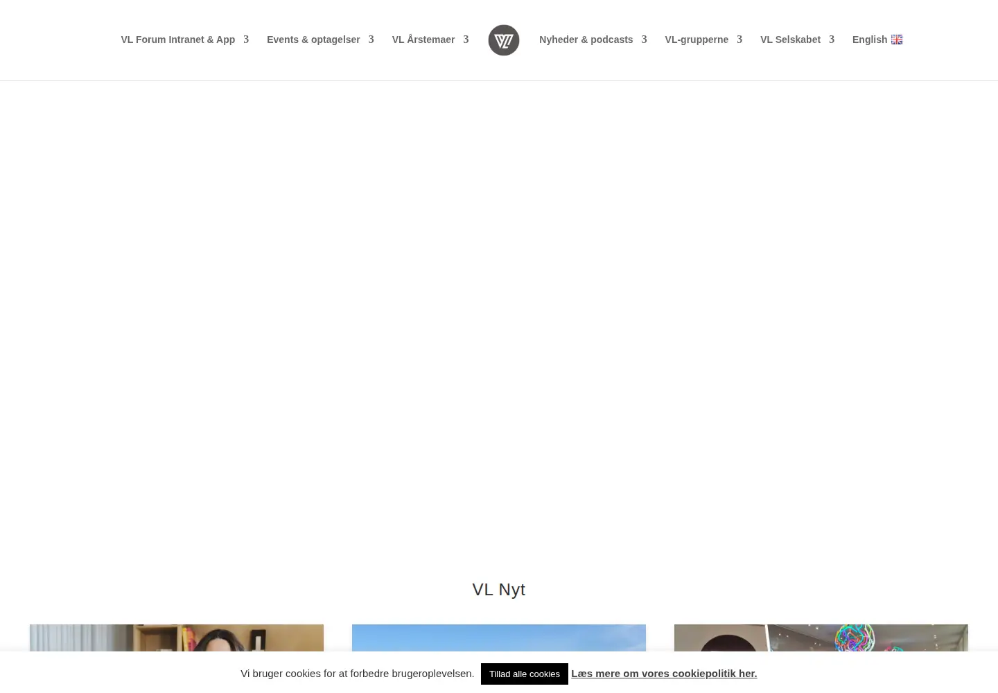 Captured homepage of vl.dk in the current scan
