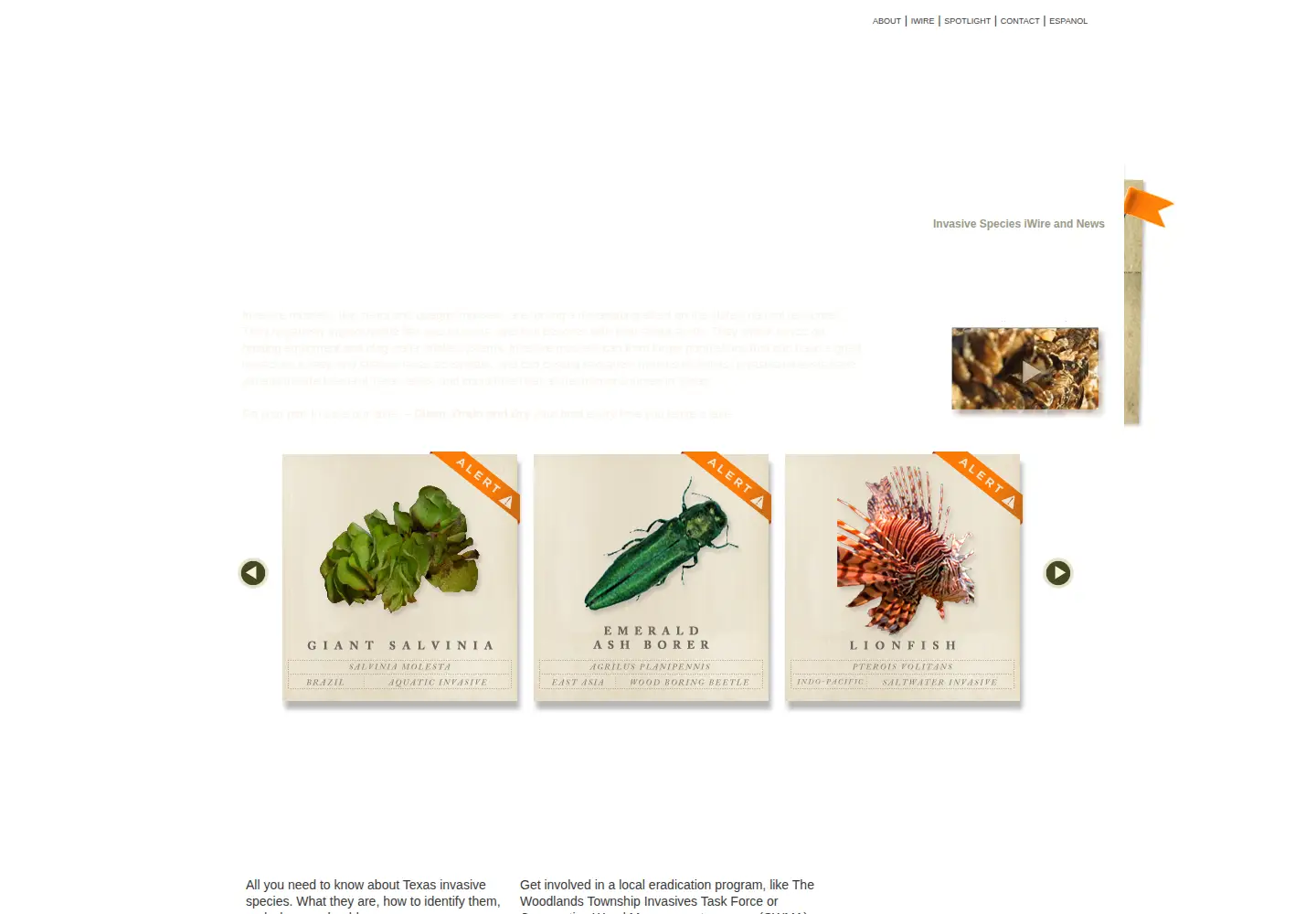 Screenshot of texasinvasives.org
