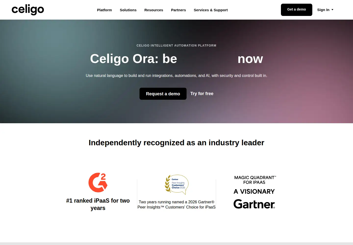 Screenshot of celigo.com