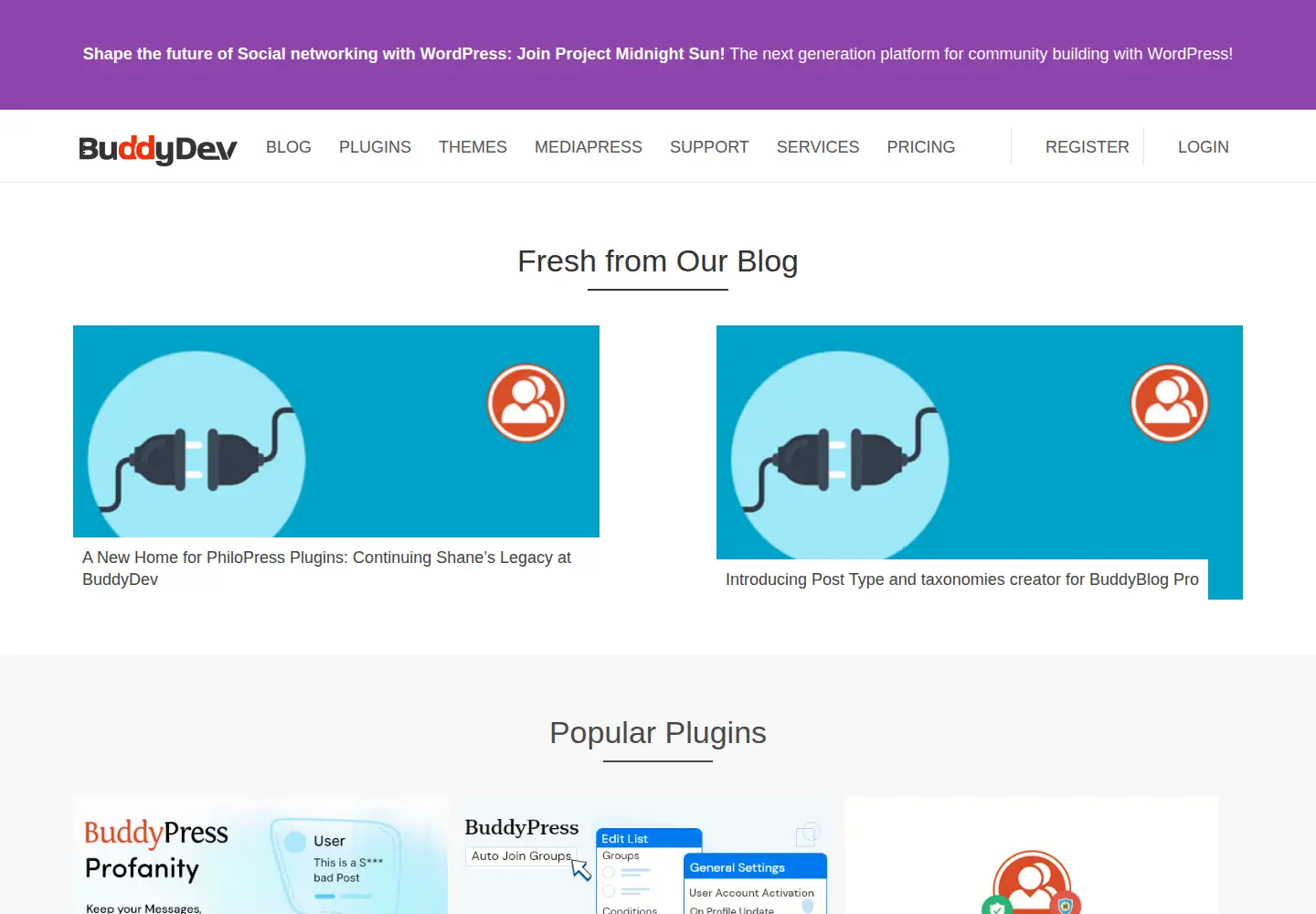 Screenshot of buddydev.com