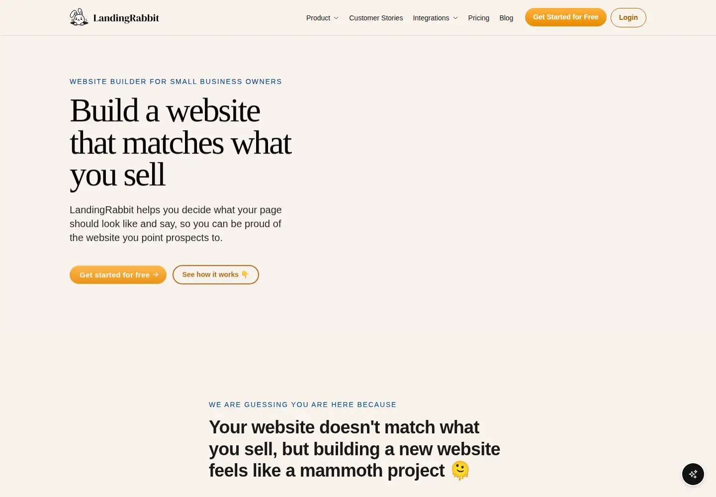 Captured homepage of landingrabbit.com in the current scan