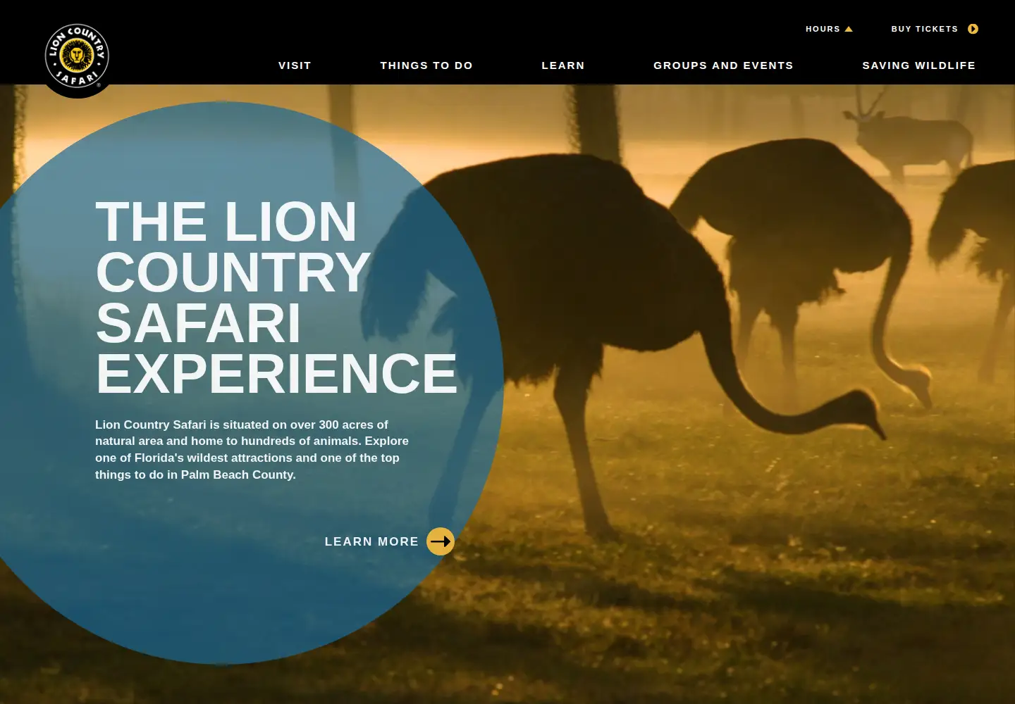 Captured homepage of lioncountrysafari.com in the current scan