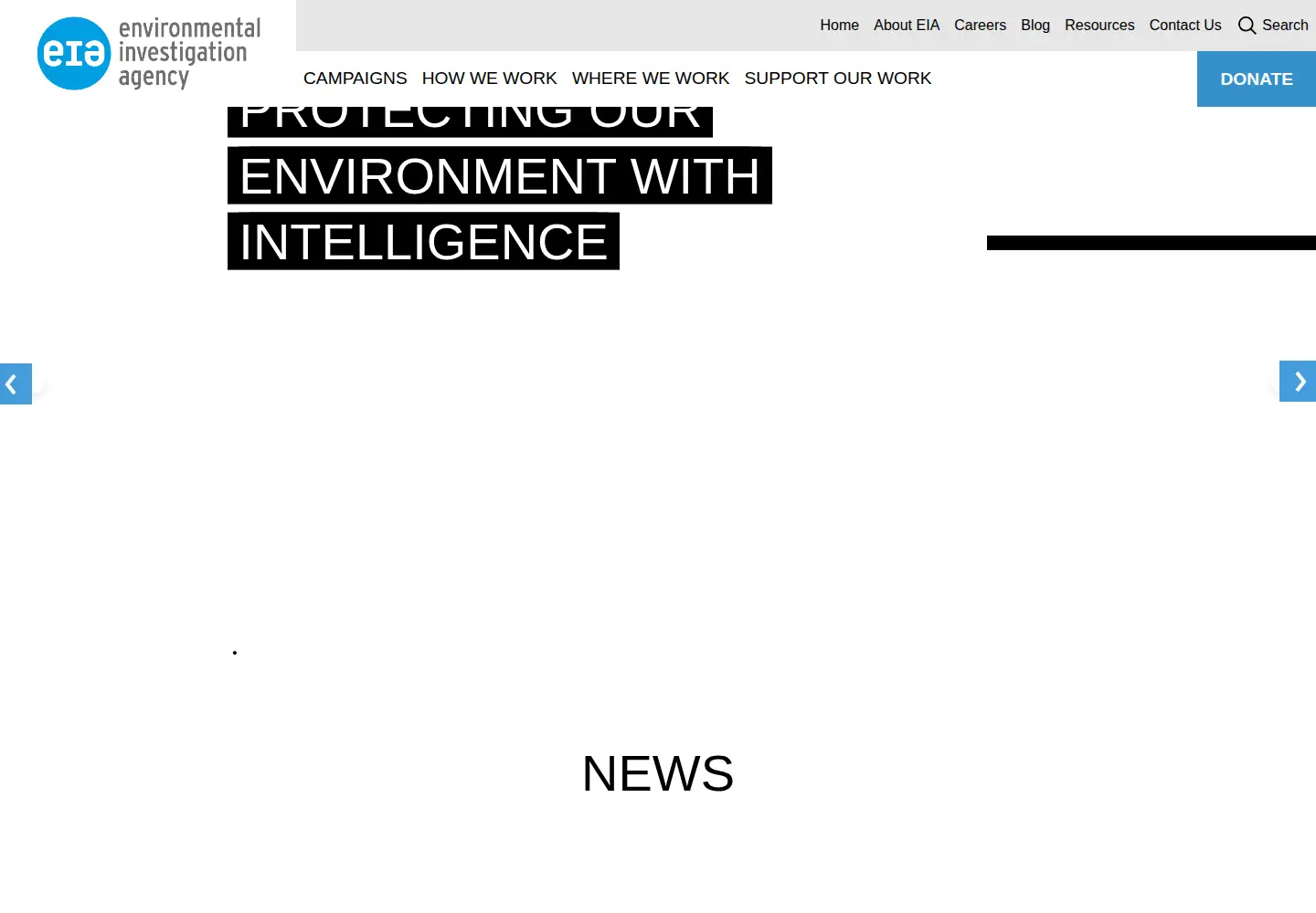 Screenshot of eia-global.org