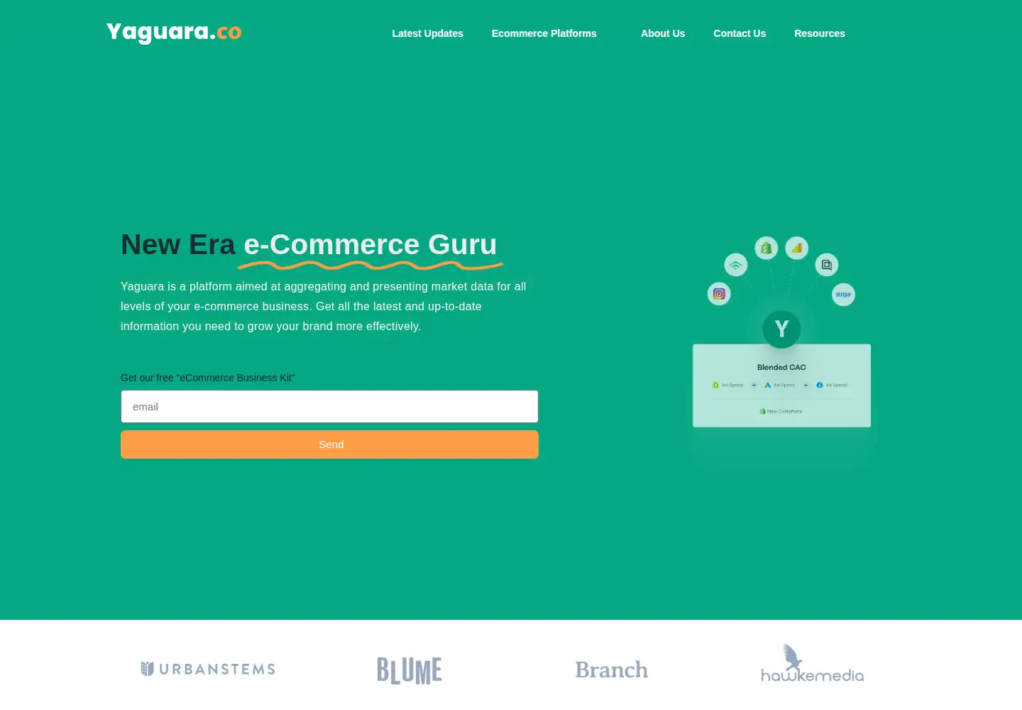 Screenshot of yaguara.co