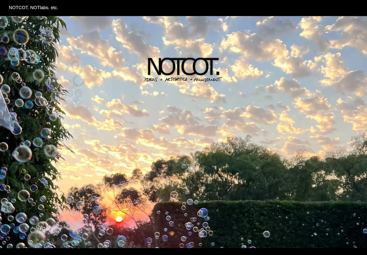 Screenshot of notcot.org