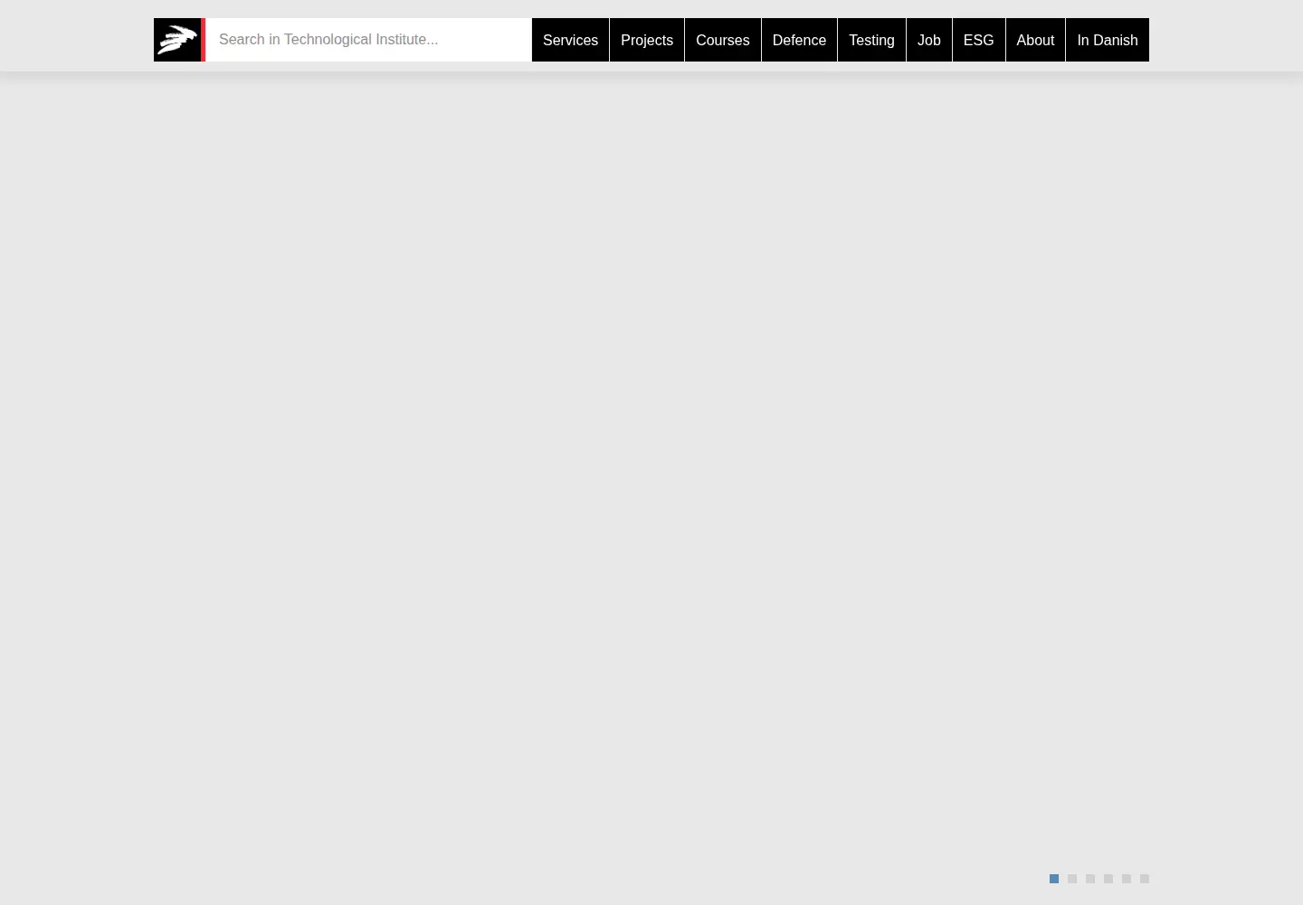 Screenshot of dti.dk