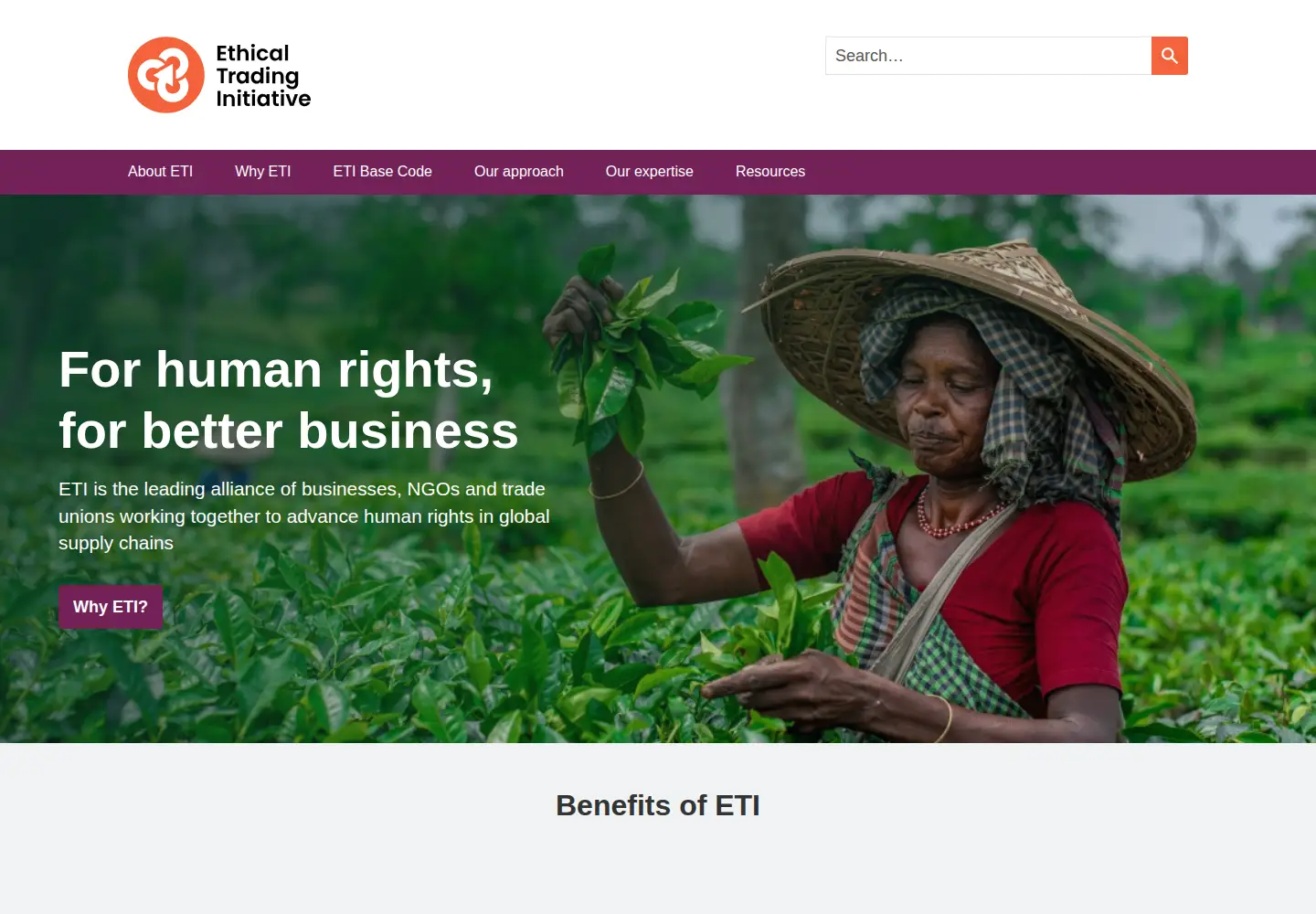 Screenshot of ethicaltrade.org