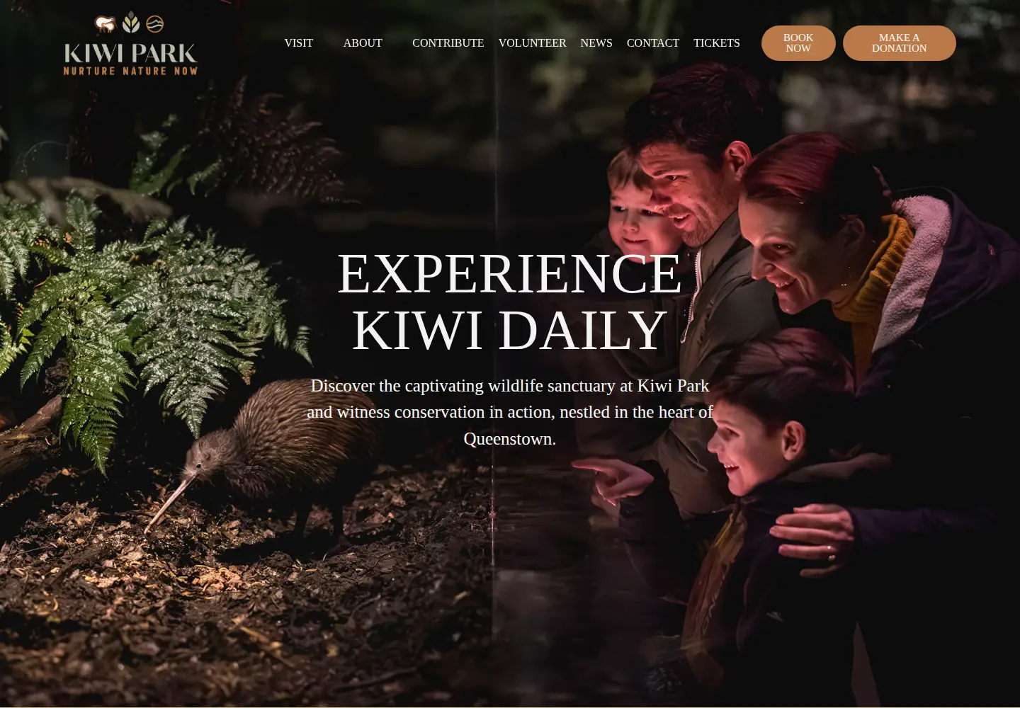 Screenshot of kiwibird.co.nz