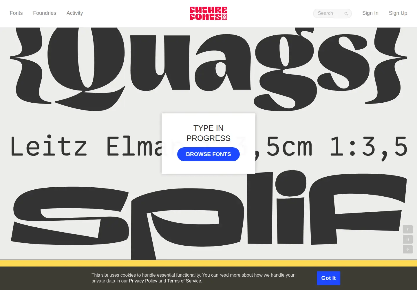 Captured homepage of futurefonts.xyz in the current scan