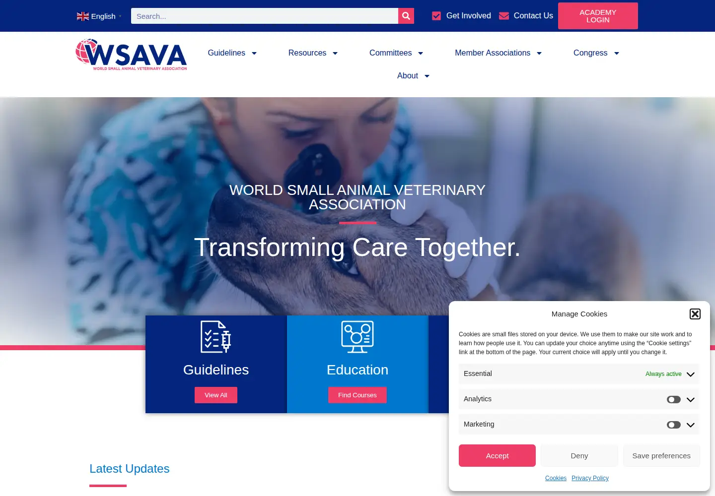 Screenshot of wsava.org