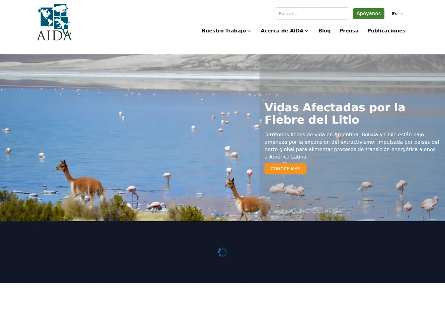 Captured homepage of aida-americas.org in the current scan