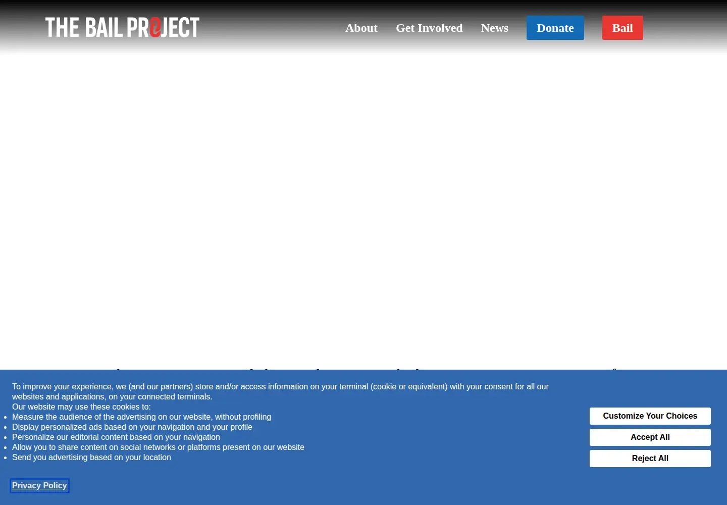 Captured homepage of bailproject.org in the current scan