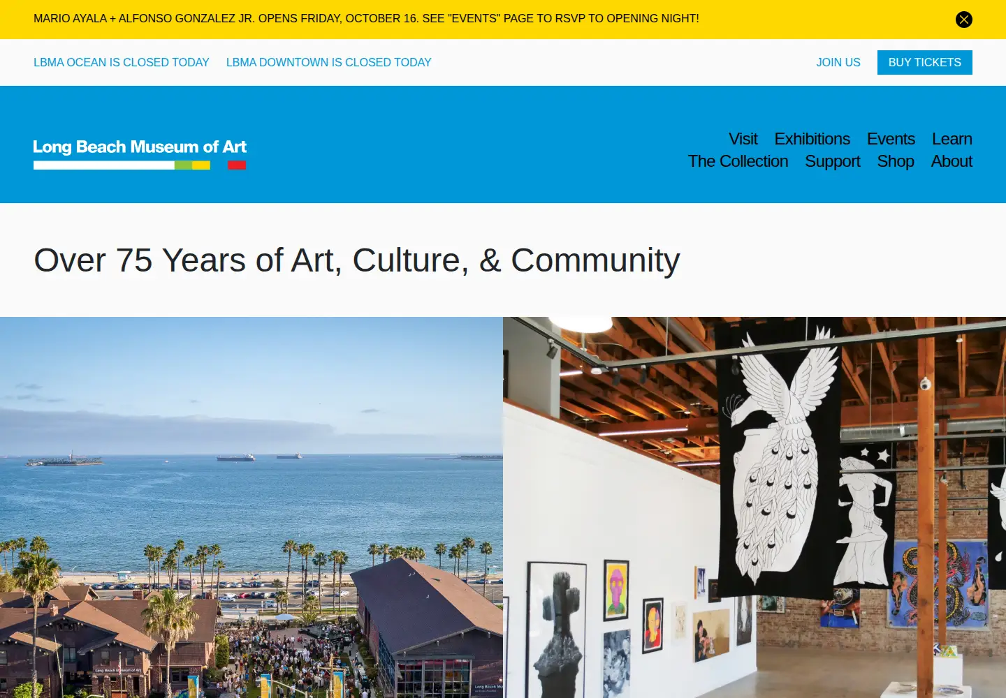 Captured homepage of lbma.org in the current scan