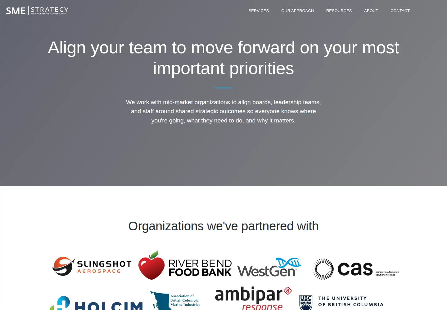Screenshot of smestrategy.net