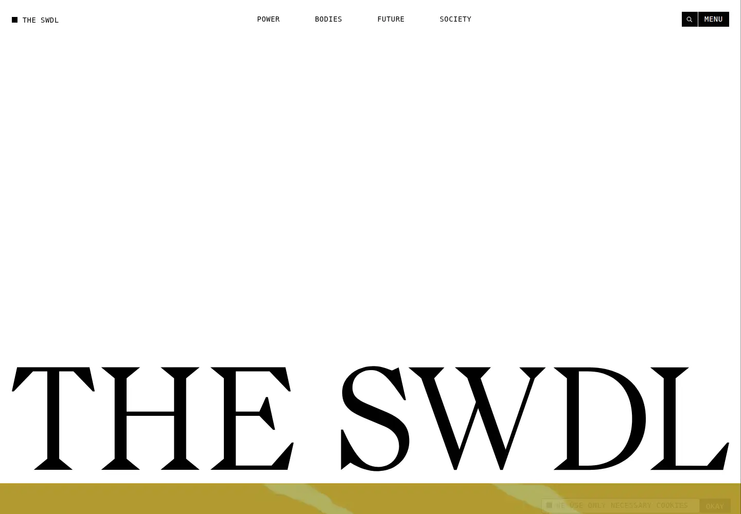 Captured homepage of theswaddle.com in the current scan