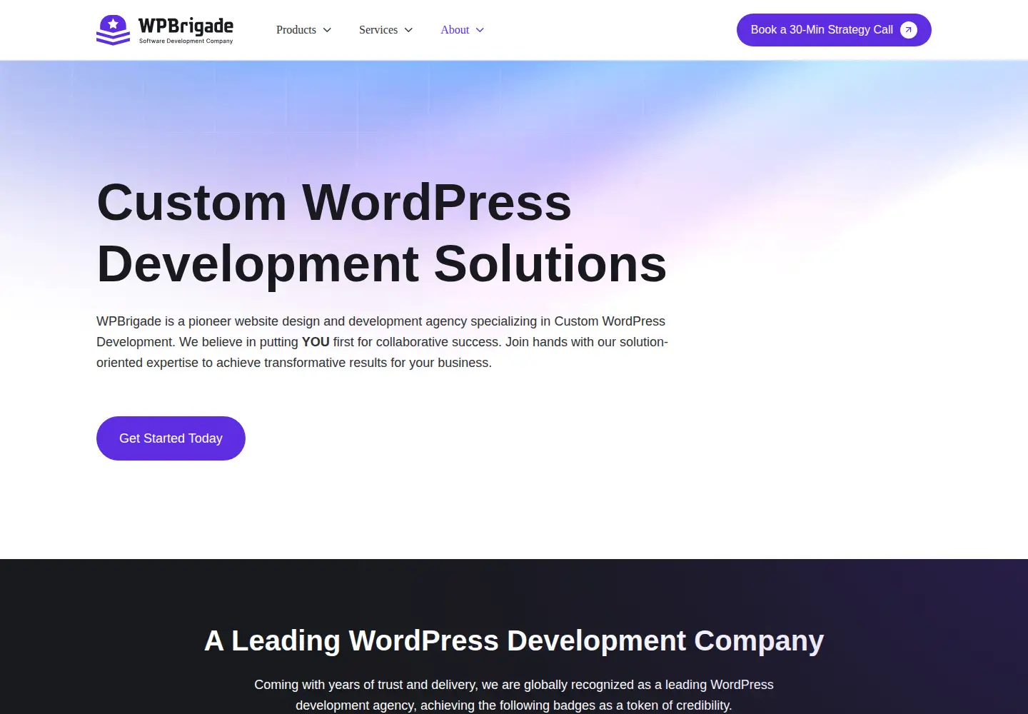Screenshot of wpbrigade.com