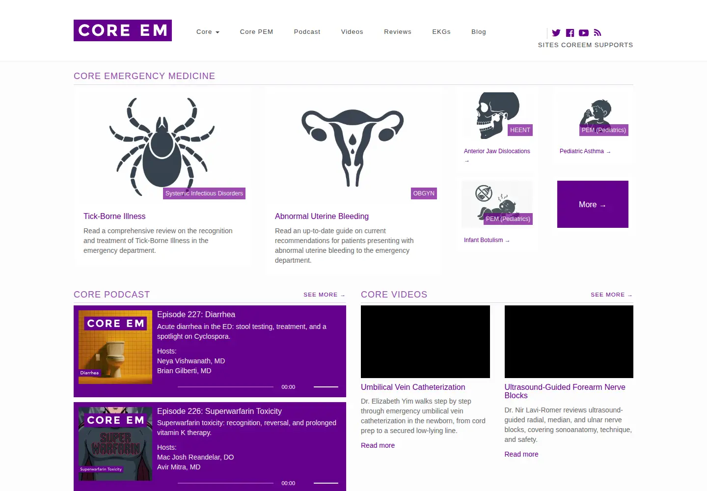 Captured homepage of coreem.net in the current scan