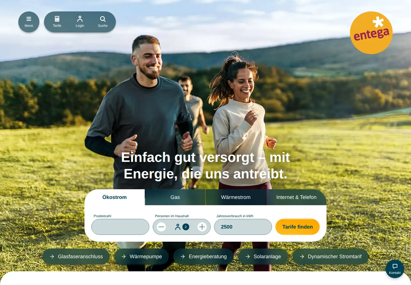 Captured homepage of entega.de in the current scan