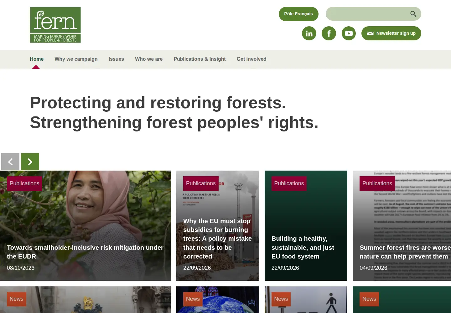 Screenshot of fern.org