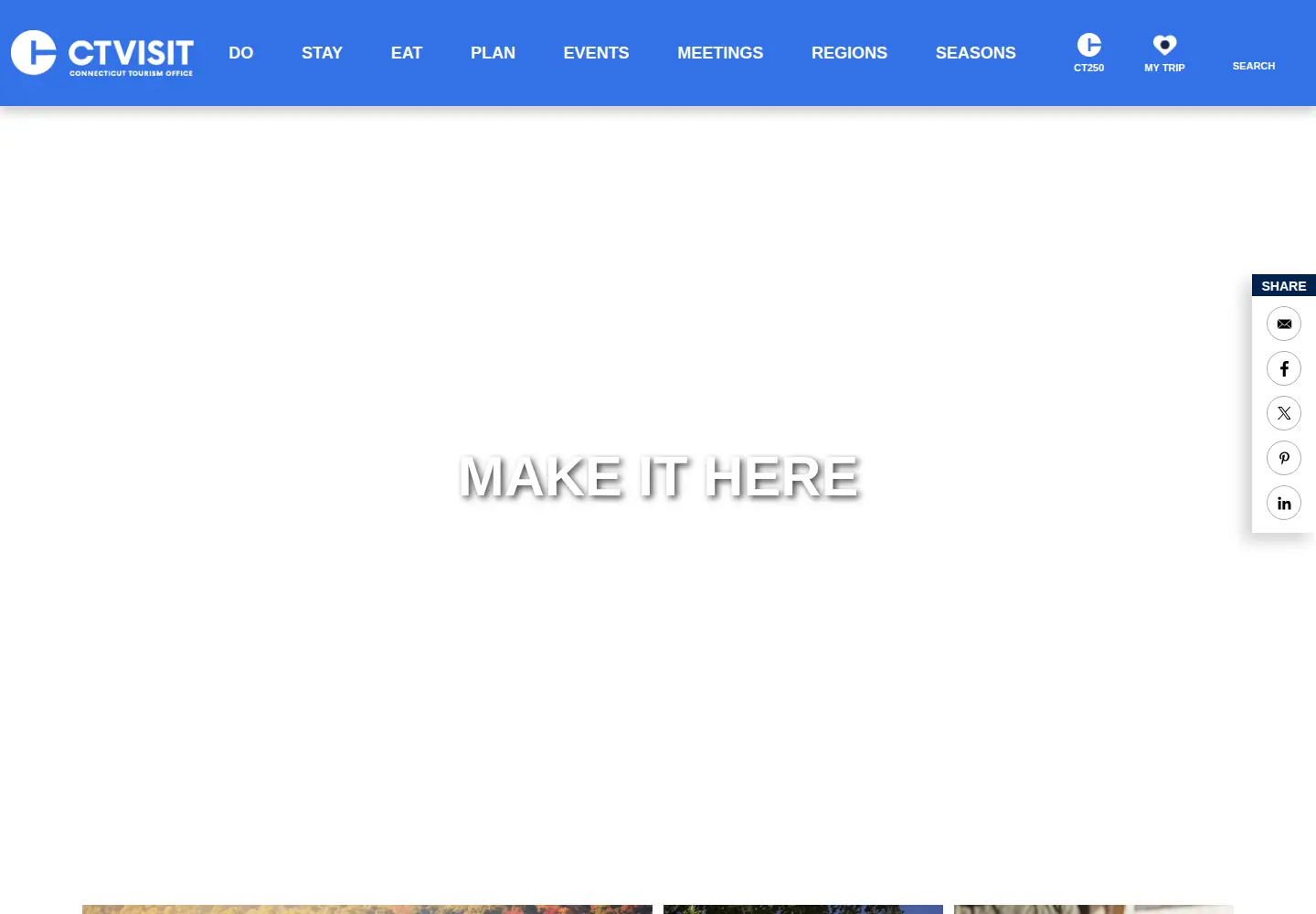 Captured homepage of ctvisit.com in the current scan