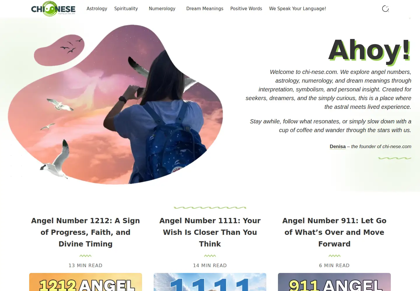Captured homepage of chi-nese.com in the current scan
