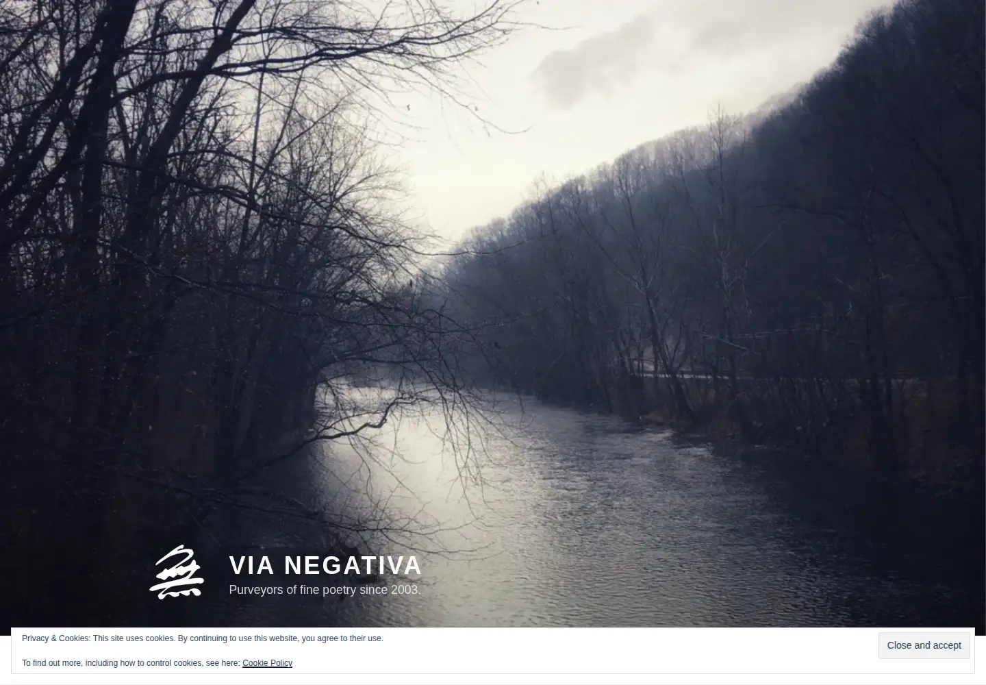 Screenshot of vianegativa.us