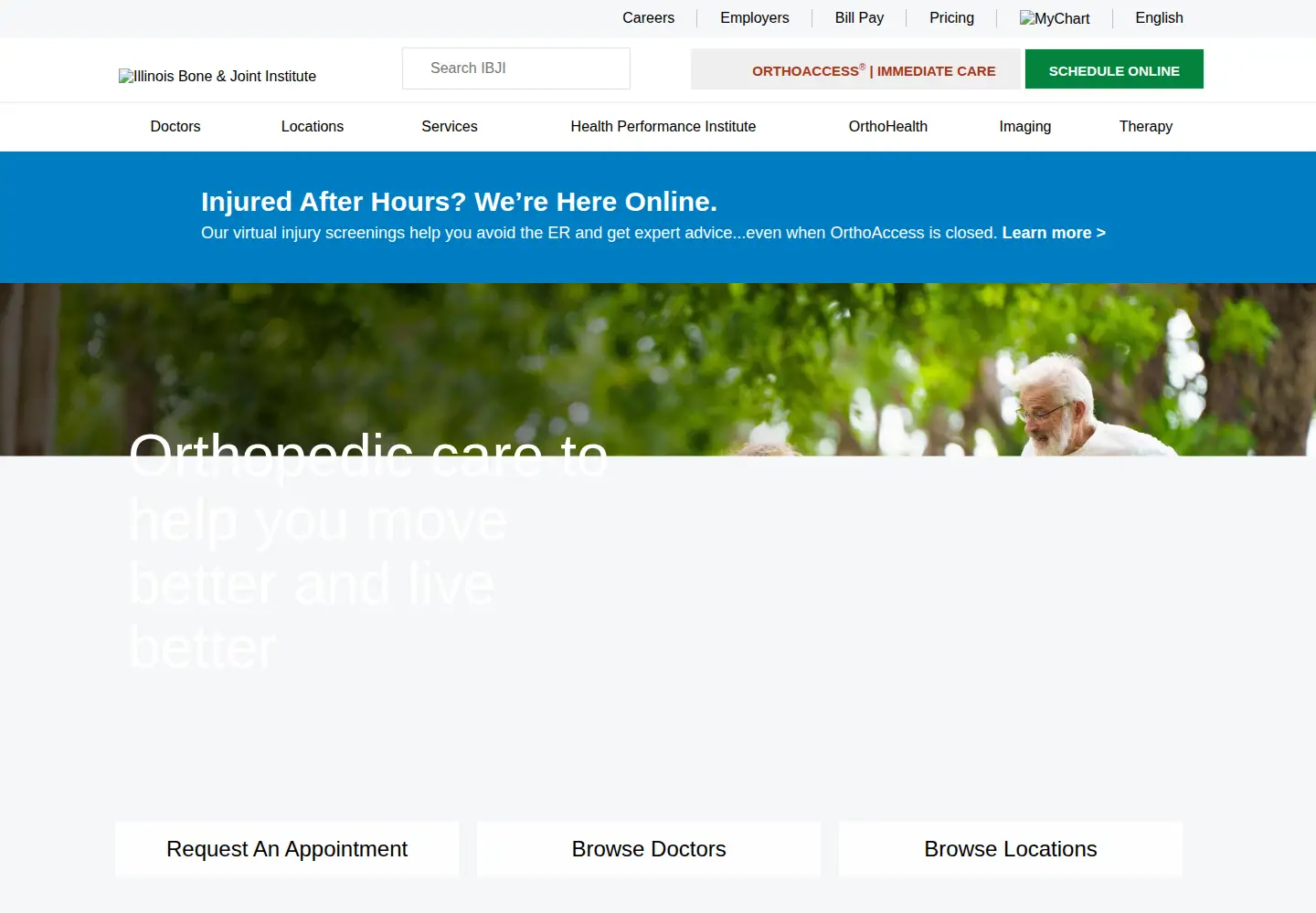 Screenshot of ibji.com