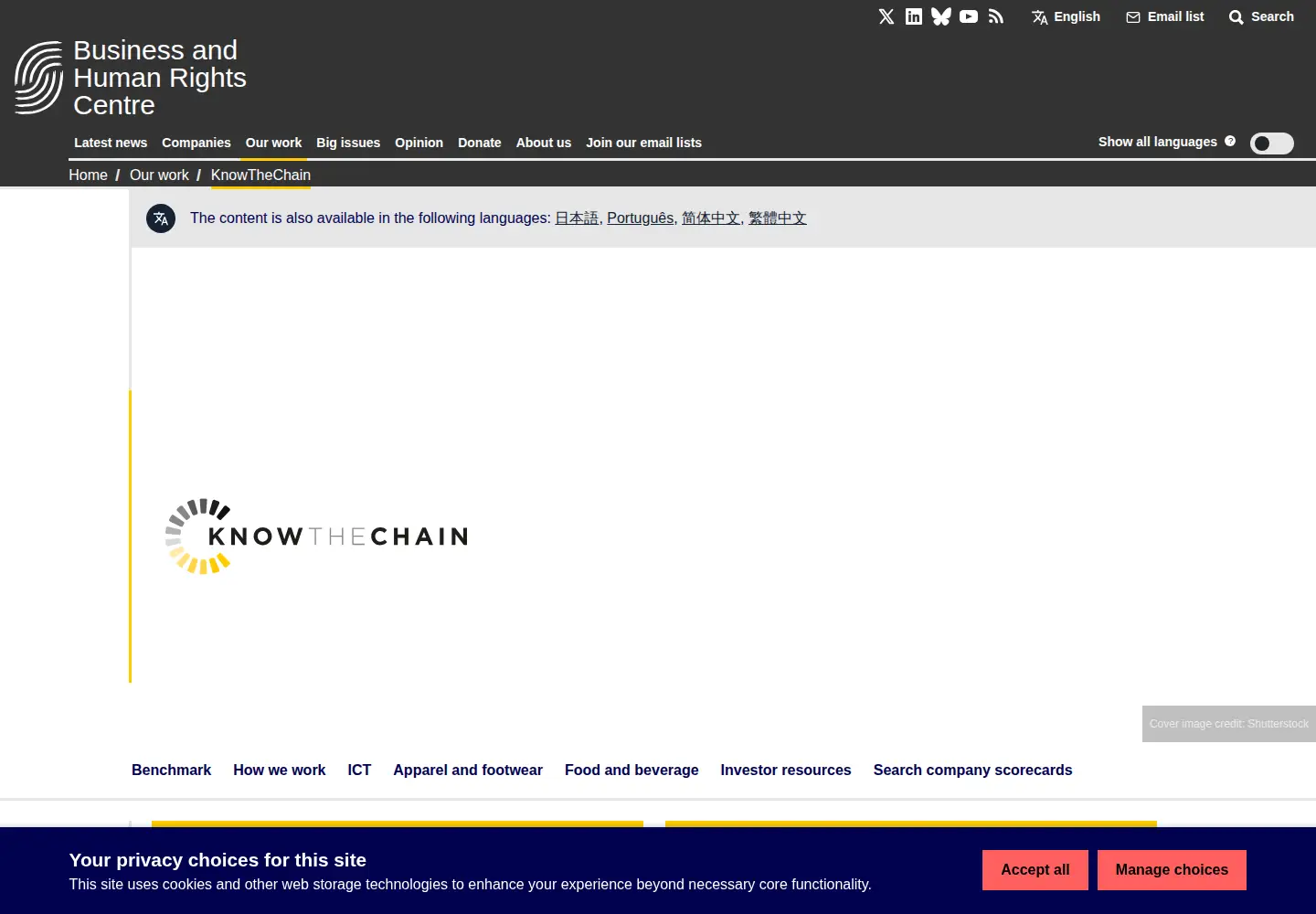 Screenshot of knowthechain.org