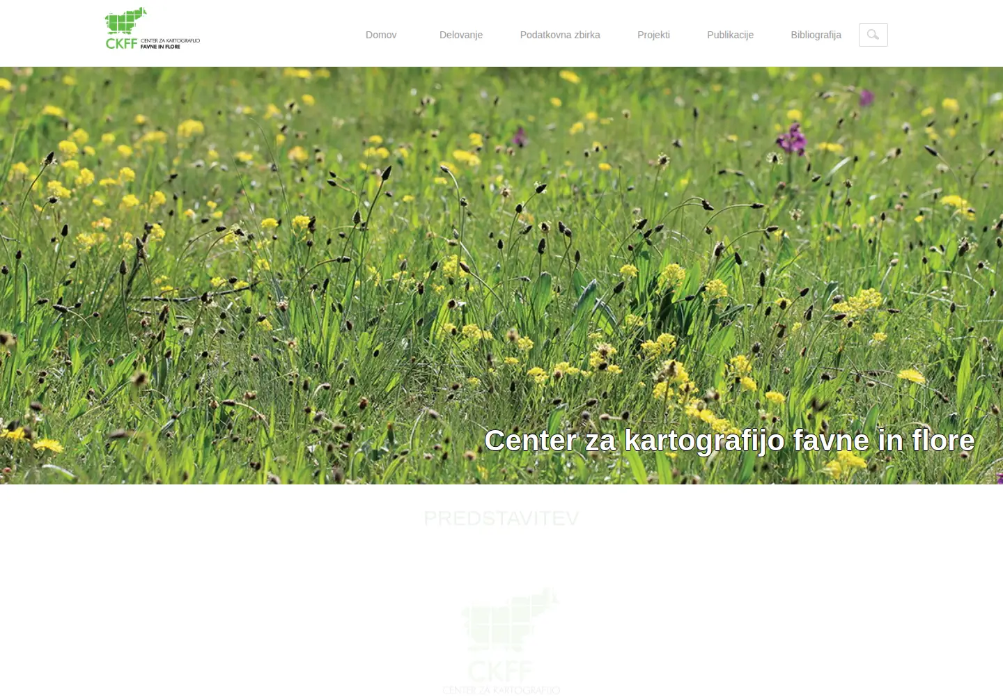 Screenshot of ckff.si