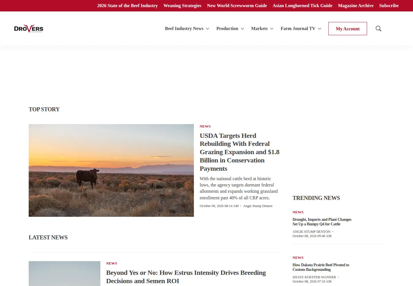 Screenshot of drovers.com