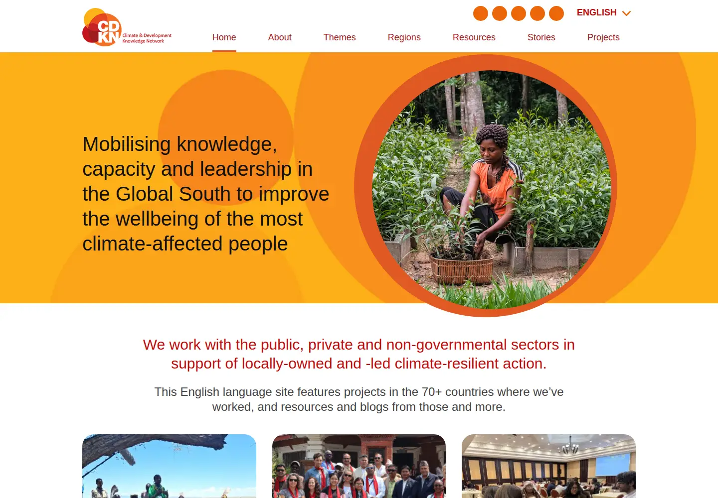 Screenshot of cdkn.org