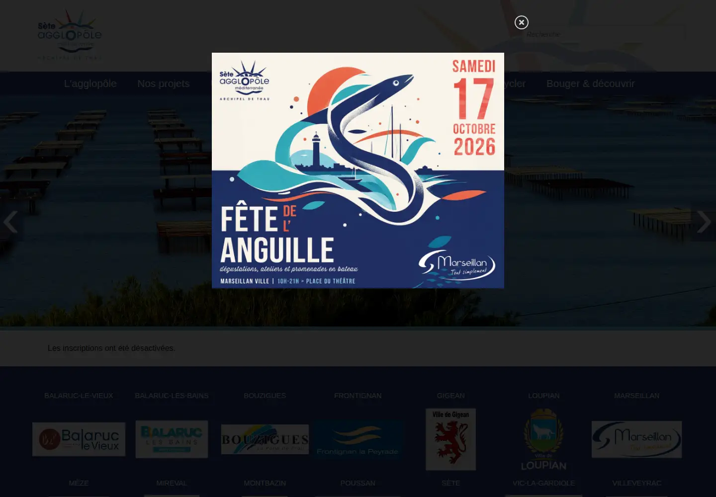 Screenshot of agglopole.fr