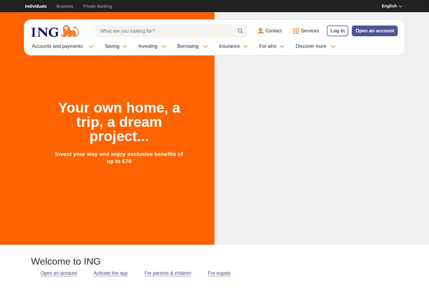 Screenshot of ing.be