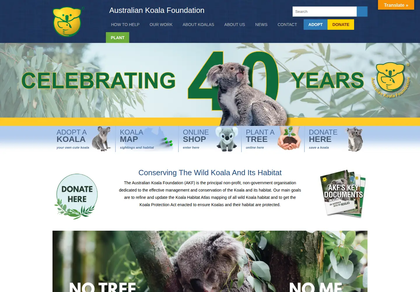 Screenshot of savethekoala.com