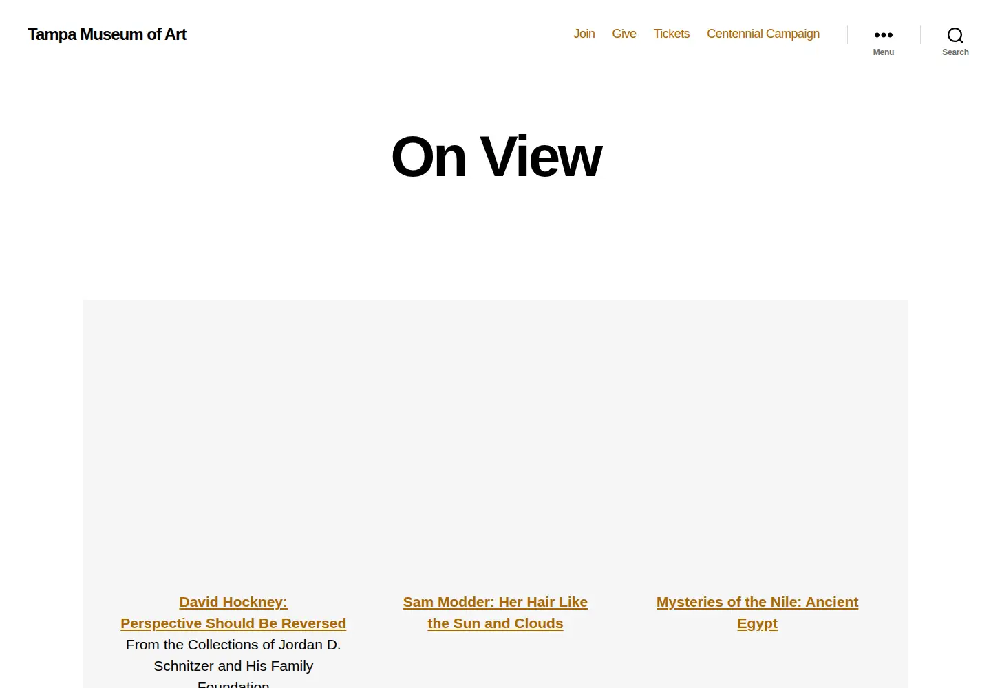 Captured homepage of tampamuseum.org in the current scan