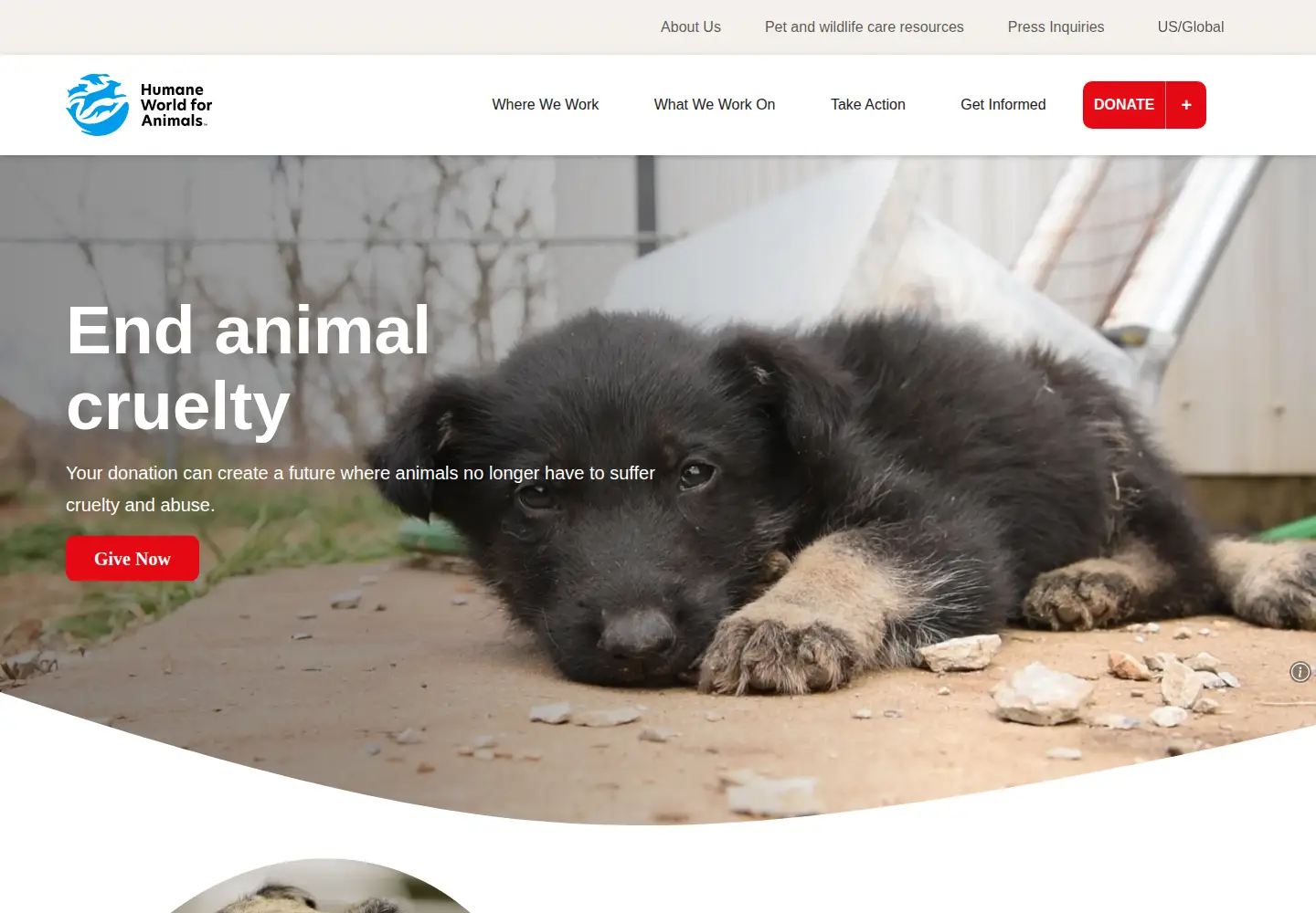 Screenshot of hsus.org