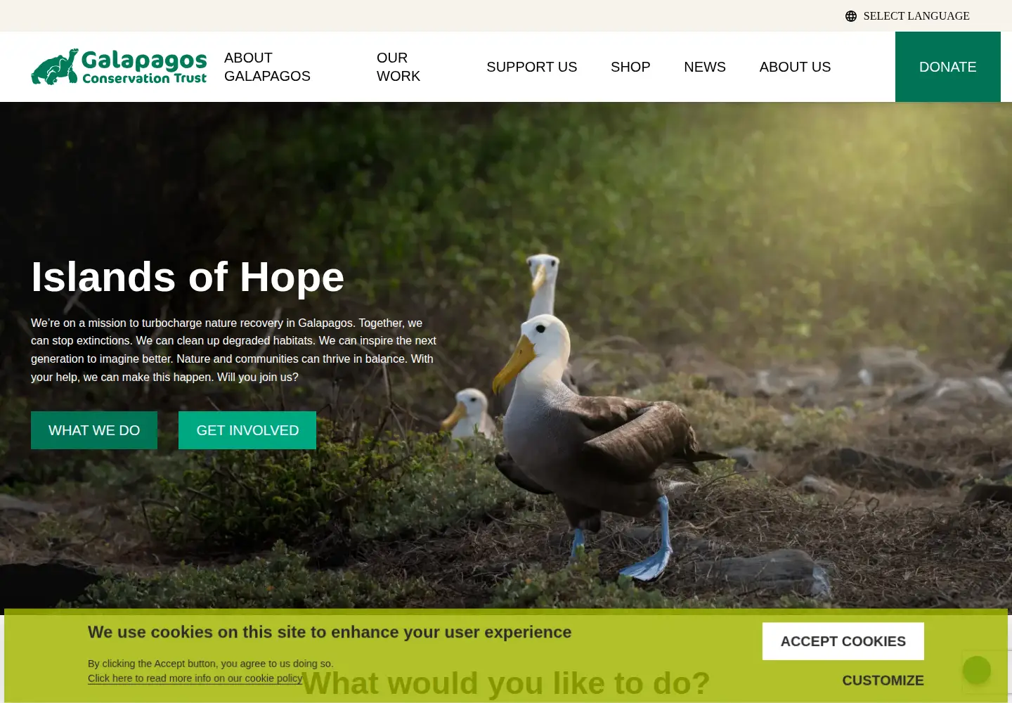 Screenshot of galapagosconservation.org.uk
