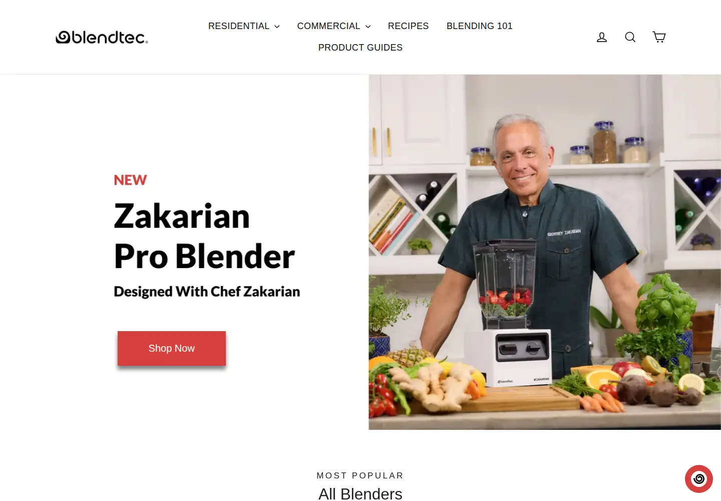 Captured homepage of blendtec.com in the current scan