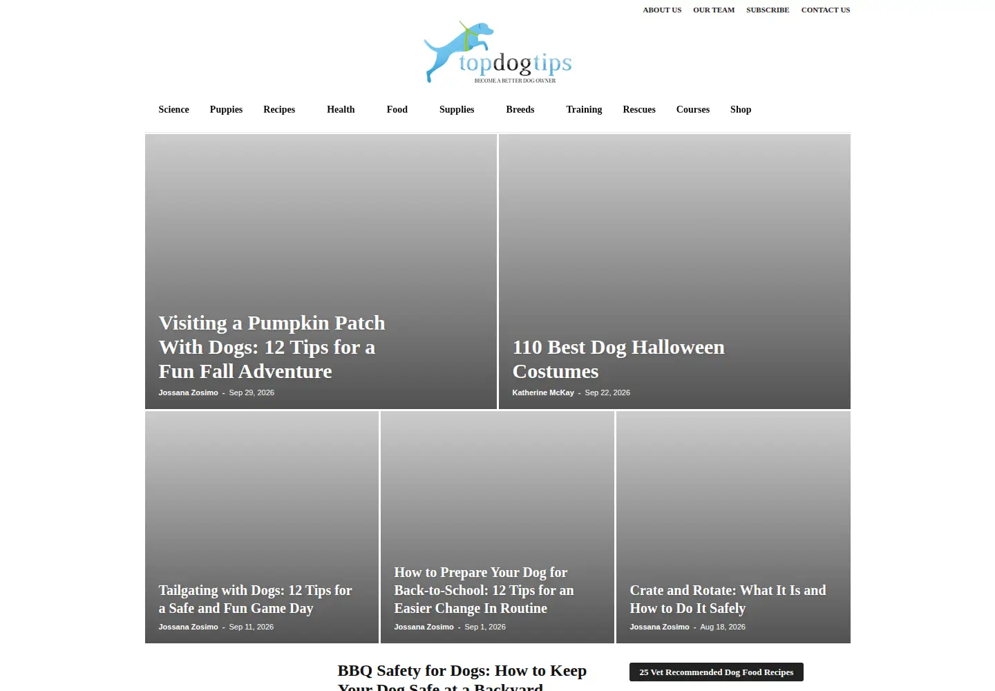 Captured homepage of topdogtips.com in the current scan