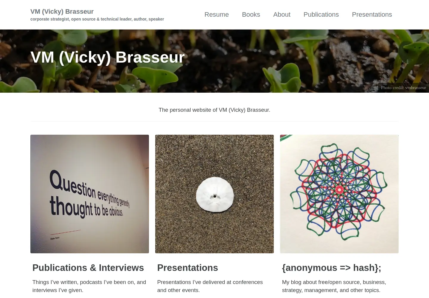 Screenshot of vmbrasseur.com