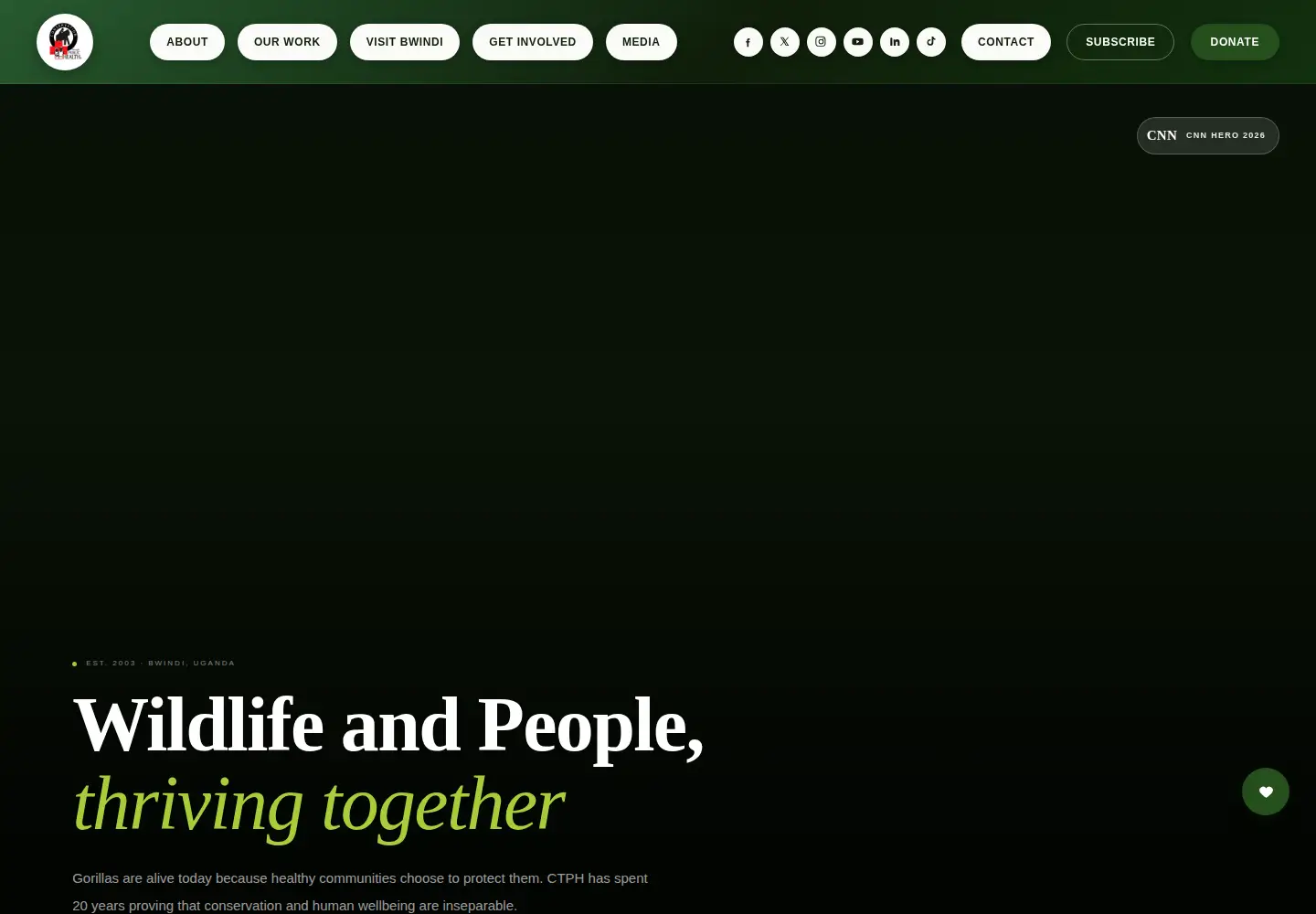 Captured homepage of ctph.org in the current scan