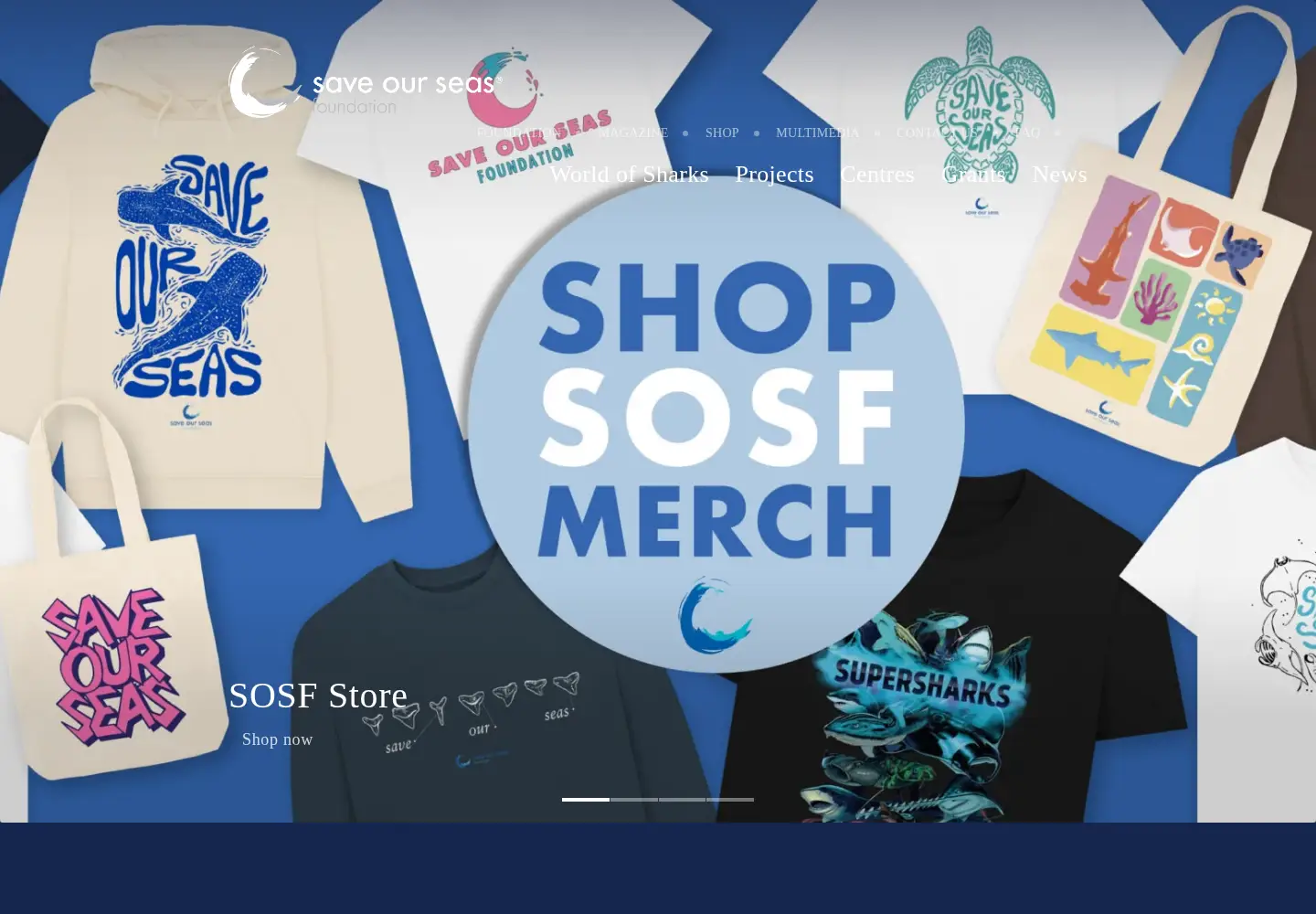 Screenshot of saveourseas.com