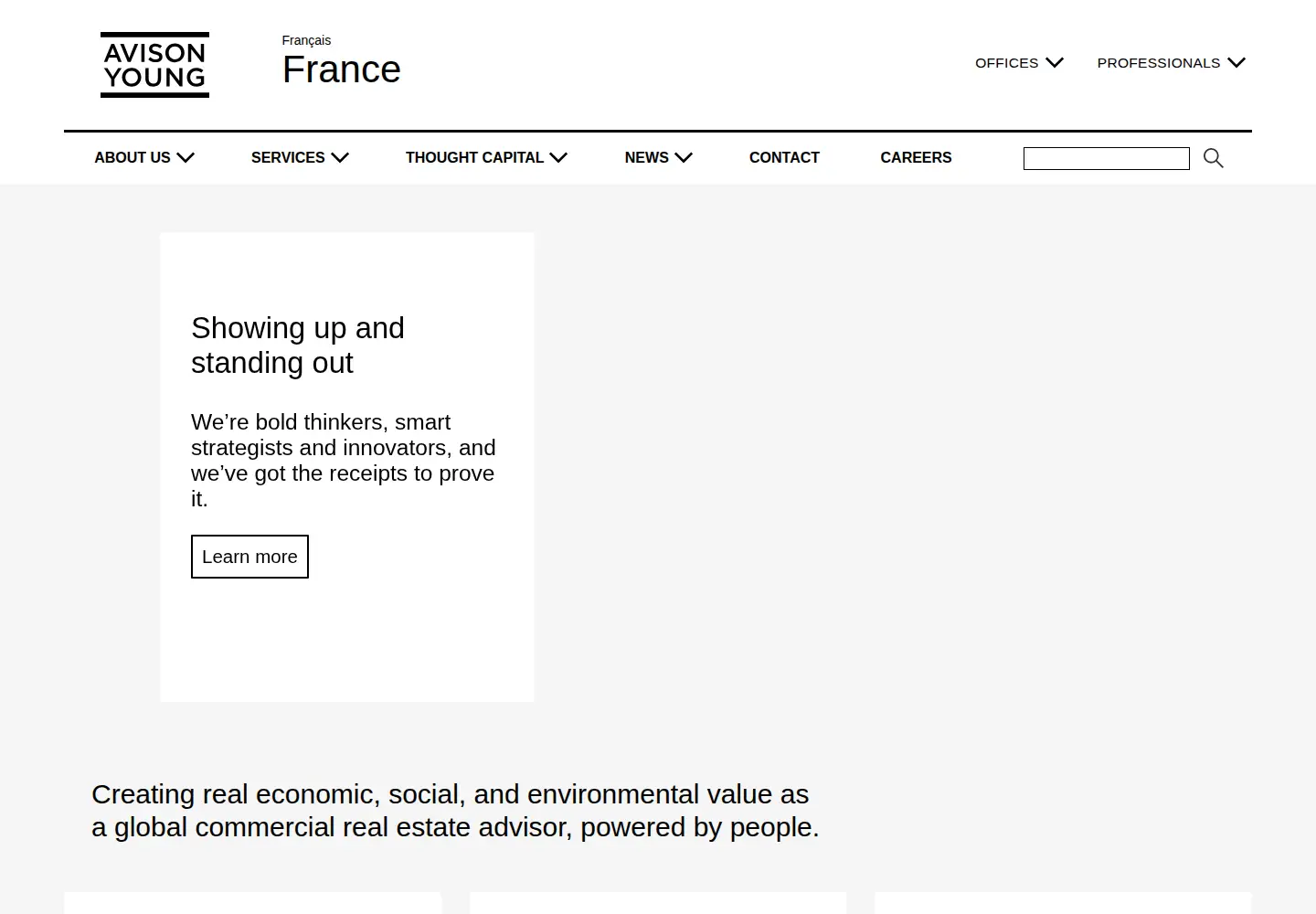 Captured homepage of avisonyoung.com in the current scan