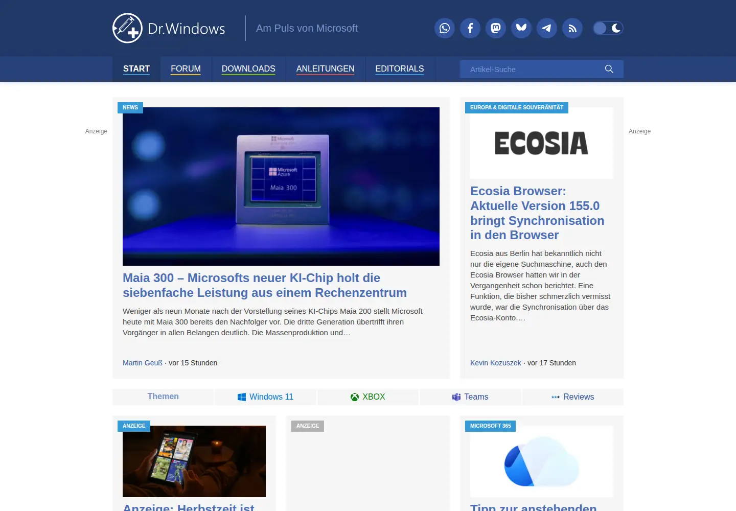 Captured homepage of drwindows.de in the current scan