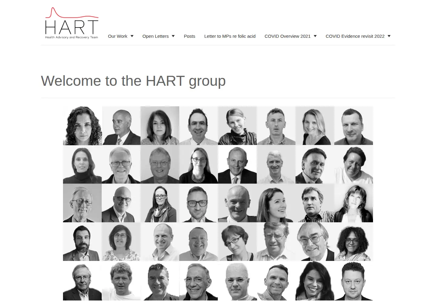 Screenshot of hartgroup.org